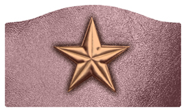 DASHELL-430-BZ-OR Star Bronze-Orchid